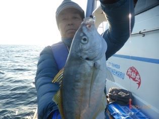 2/27（木）下田・柿崎港　兵助丸　　シマアジ