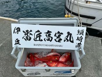 1/27（月）下田・須崎港　番匠高宮丸　金目鯛釣り　新島沖