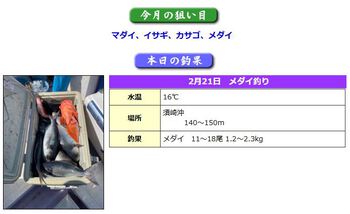 2/21（金）下田・須崎港　若宮丸　須崎沖　メダイ