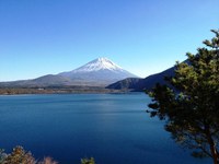 本栖湖・鳴沢からの富士山。