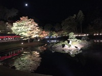 半月が綺麗な夜でした