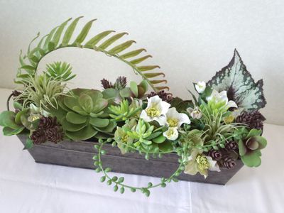 green arrange