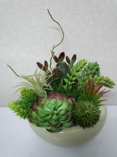 枯れない多肉植物のアレンジ。
