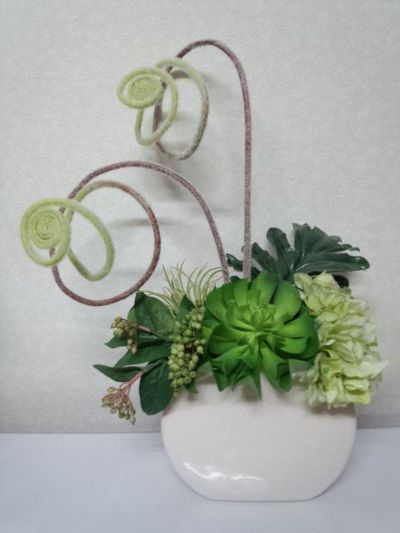 多肉植物のグリーンアレンジ。