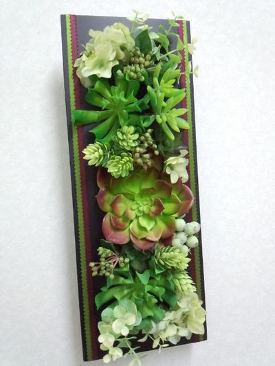 秋にも多肉植物。
