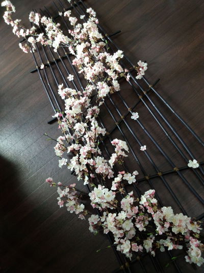 流桜。
