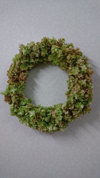 柏葉紫陽花のリース。