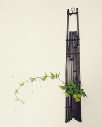 捶撥。