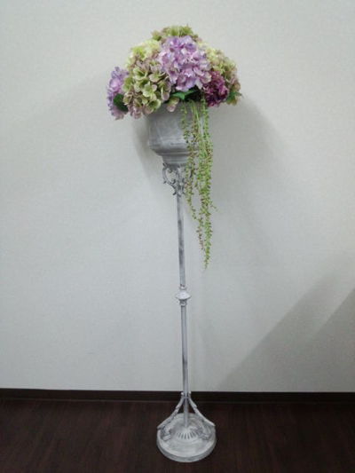 紫陽花がいっぱい。