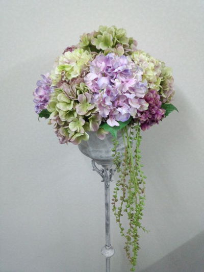 紫陽花がいっぱい。