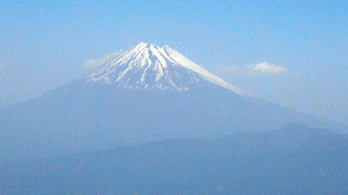 達磨山ハイキング