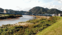 ★今日のウォーク景色★狩野川 2021/11/09 09:25:50