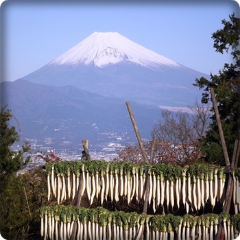 大根干しと富士山 ★ 田中山の風物詩
