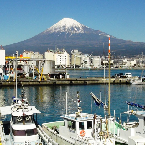 田子の浦街道ｳｫｰｸ★兄弟会で足慣らし