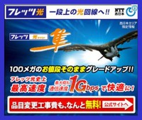 一段上の光回線へ ★ フレッツ光「隼」で快適！