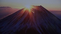 ★✩✩迎 春✩✩★