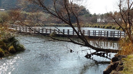 西伊豆歩道（井田） ★