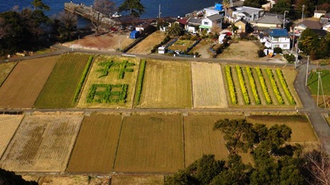 西伊豆歩道（井田） ★