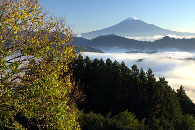 雲海と富士山