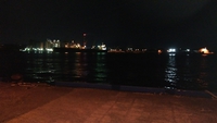 我が街の　田子の浦港 2020/04/10 10:14:54