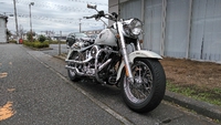 H.D 2001FLSTFファットボーイ 2020/01/16 17:07:09
