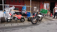 Ｇ・RUN  行って来ました‼️ 2019/07/14 20:43:34
