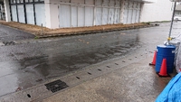 雨 雨 雨・・やだねー。そだねー。 2019/04/30 09:22:35
