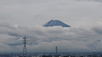 梅雨が・・・ 2019/07/16 17:58:30