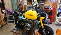 HONDA  ゴリラ 君のの・・・ 2019/07/06 07:28:42