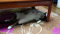 うちの　そらお 2019/11/09 09:55:00