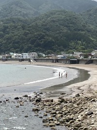 海水浴はじまってます。