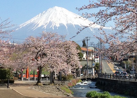美しい情景♪