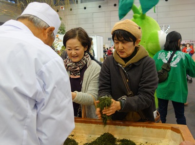 お茶の手もみ体験♪