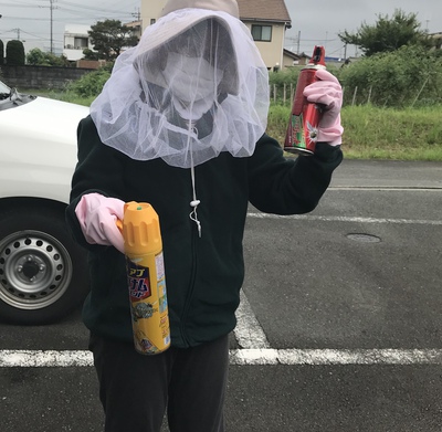 アシナガバチの巣駆除♪