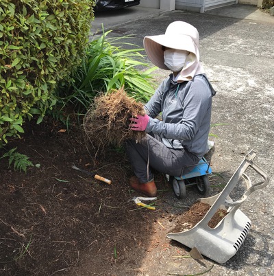 草木の断捨離♪