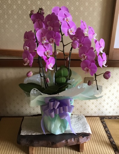 お盆♪