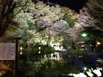 湧玉池♪