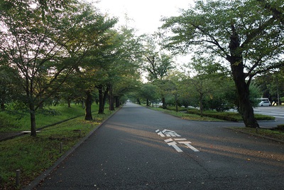 早朝ウォーキング♪