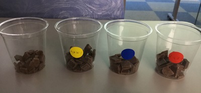 チョコレートの試食♪
