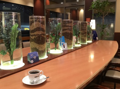 ドトールコーヒーショップエッソ富士宮バイパス店♪