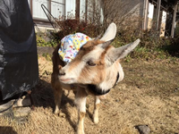 １年が経ちました！