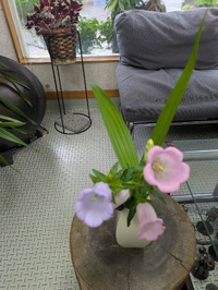 おはようございます。