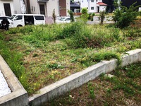 HOUSE in HIRATUKA -現場確認-