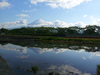 水鏡に写る