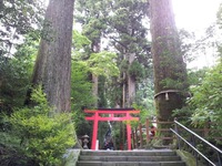 箱根神社