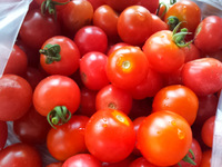 トマトのマリネ
