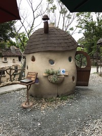 ぬくもりの森 2017/07/17 20:28:30