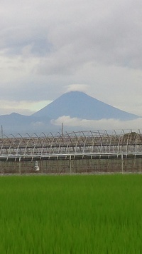 韮山からの富士山★
