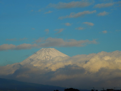 雪が。。。。。。