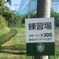 運動しなくては~~~~